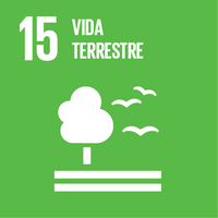 15. Vida terrestre